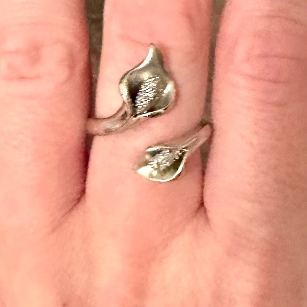 Beautiful Duo of Rings!